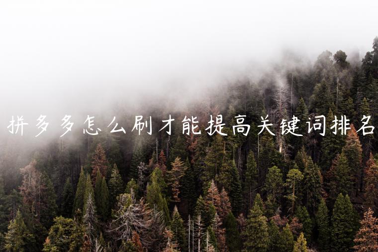 拼多多怎么刷才能提高關(guān)鍵詞排名